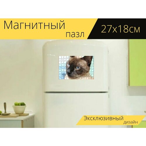 Магнитный пазл Кошка, сиамский, голубые глаза на холодильник 27 x 18 см. магнитный пазл кошка тайская кошка голубые глаза на холодильник 27 x 18 см