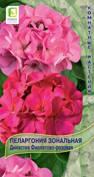 Семена пеларгонии зональной поиск Династия фиолетово-розовая 5 