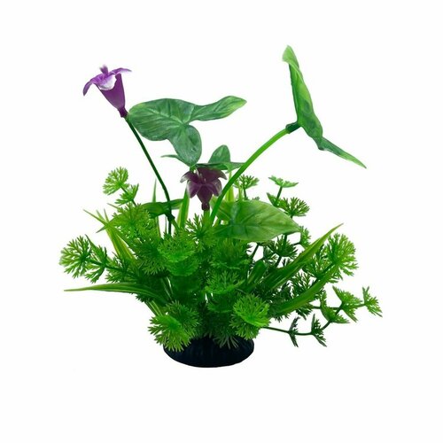 Аквариумное растение Rabizy Цветок 6х18 см