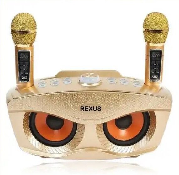 Сова - Rexus SD-306 Plus - bluetooth колонка-караоке 