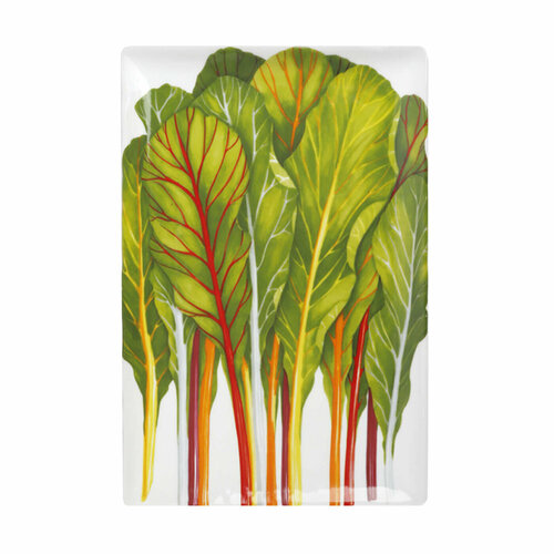 Блюдо Dieta Mediterranea Erbette