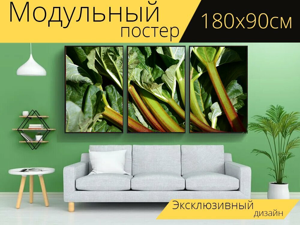 Модульный постер "Ревень, зеленый, сад" 180 x 90 см. для интерьера