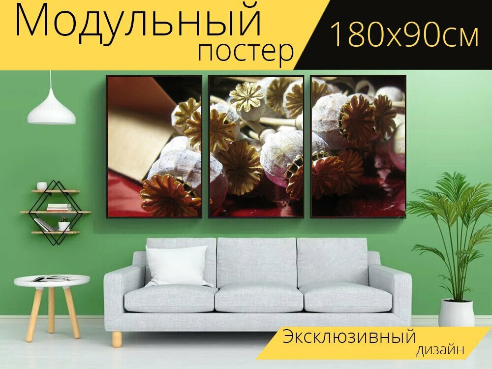 Модульный постер "Стручки, семя, мак" 180 x 90 см. для интерьера
