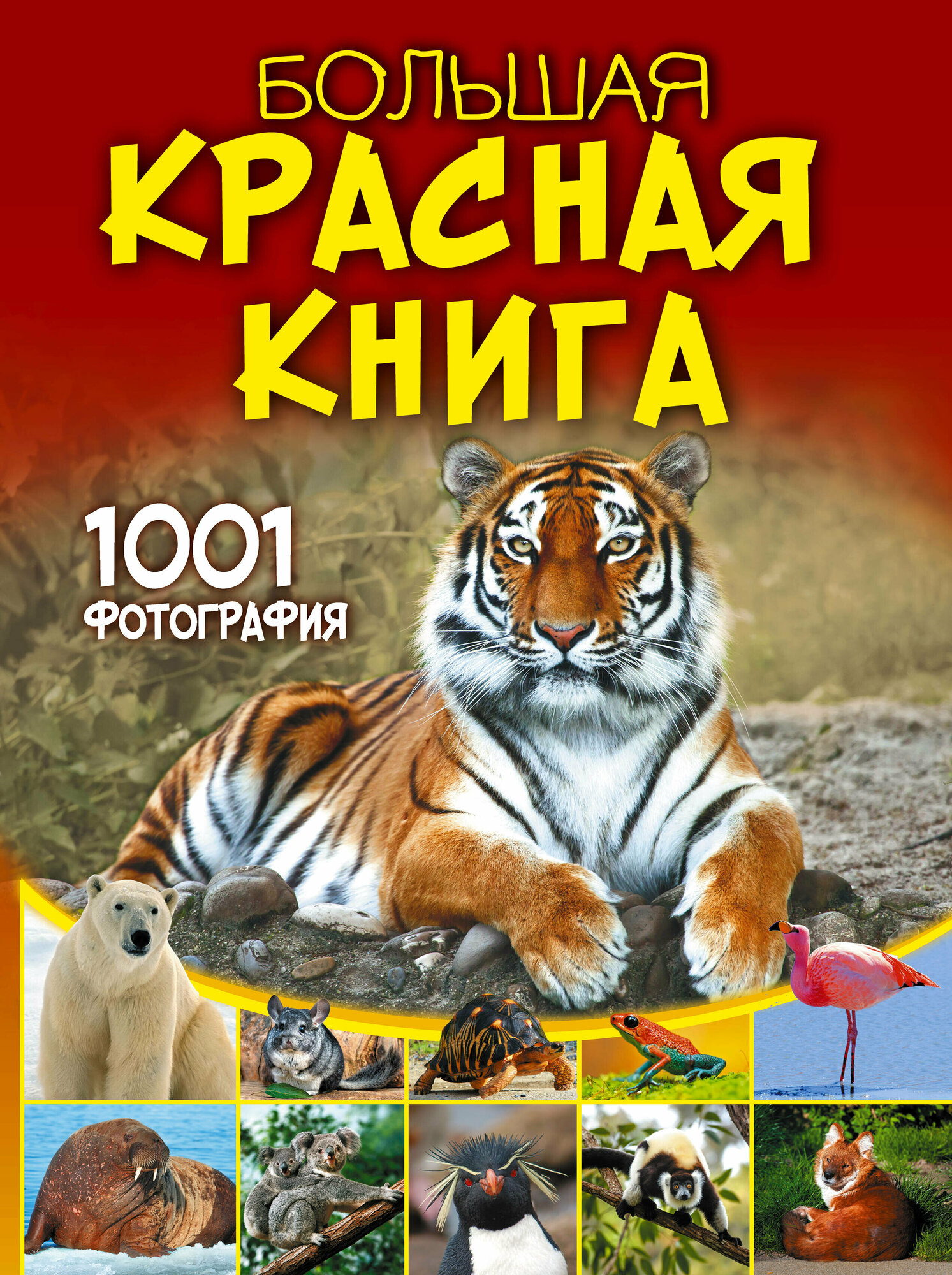 Большая Красная книга 1001 фотография Энциклопедия Спектор АА 12+