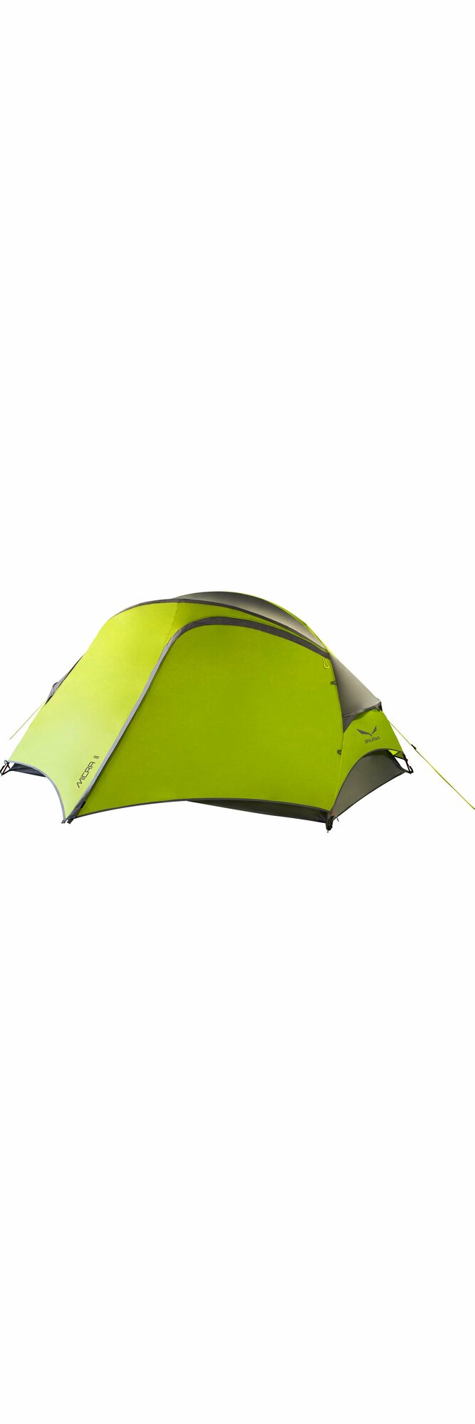 Палатка Salewa Micra II Tent Cactus/Grey