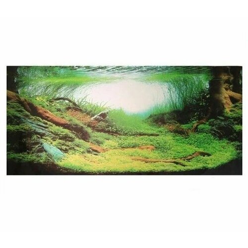 Homefish фон для аквариума Амазония, 30х1500 см