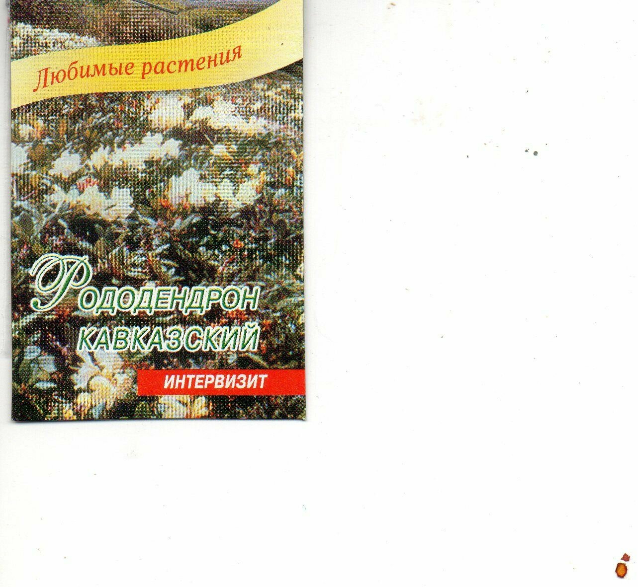 Рододендрон кавказский семена