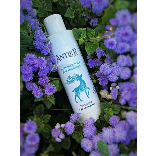 Antler Энзимная пудра для умывания 100 г
