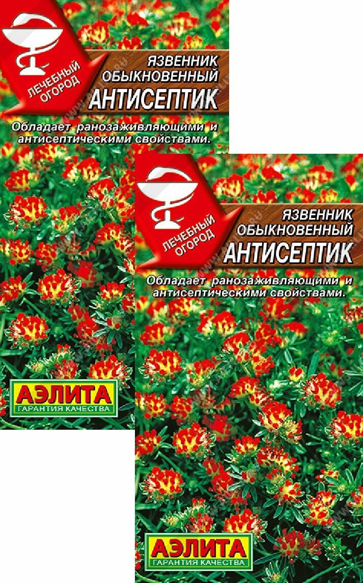 Язвенник Антисептик (02 г) 2 пакета