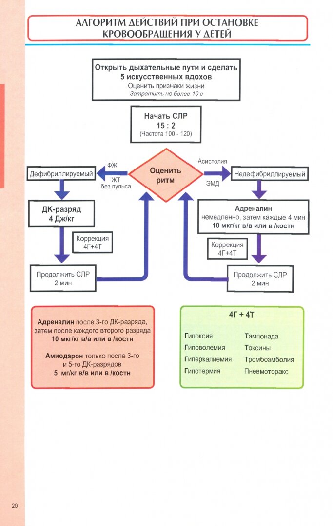 Анестезия и неотложная терапия у детей в таблицах и схемах - фото №3