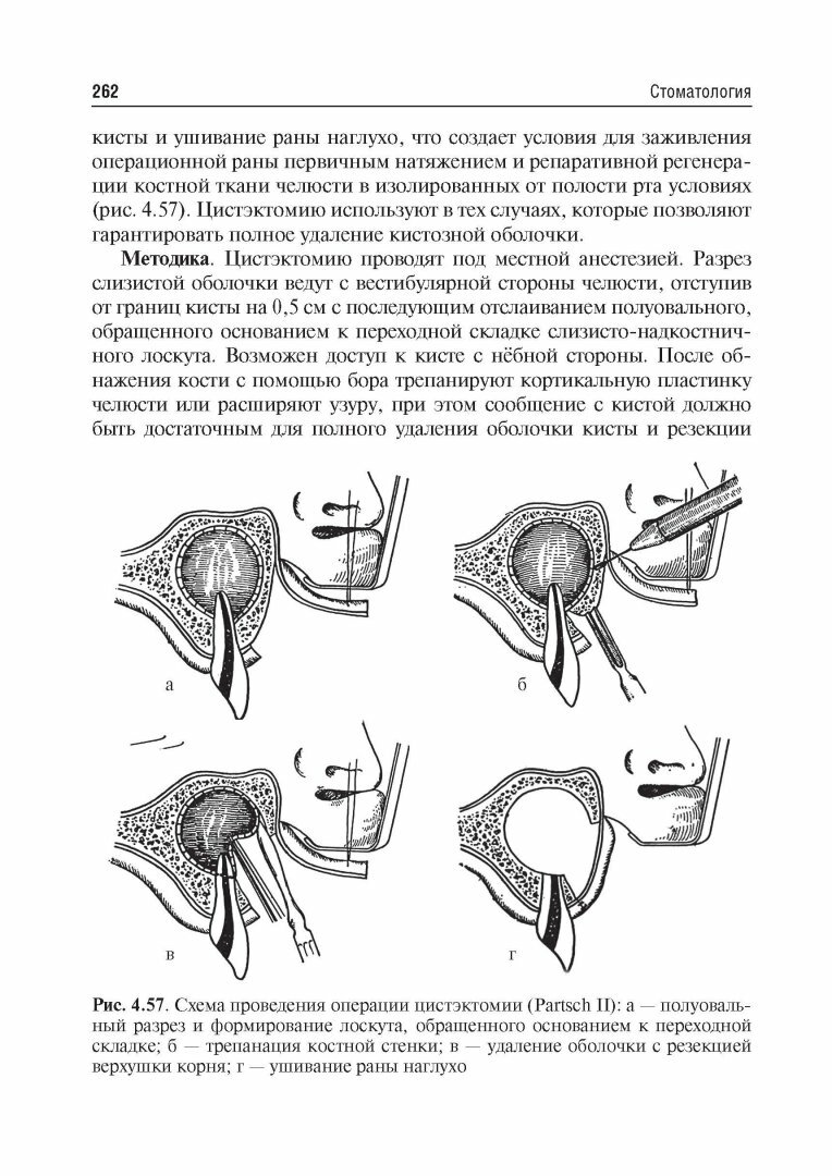 Стоматология. Учебник для ВУЗов - фото №12