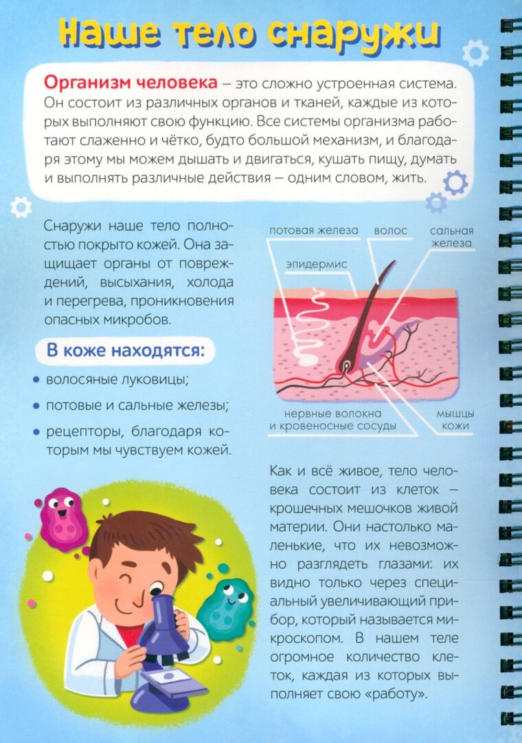 Умная книжка с фонариком Моё тело - фото №18