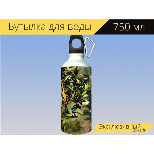 Бутылка фляга для воды "Апельсин, фрукты, дерево" 750 мл. с карабином и принтом