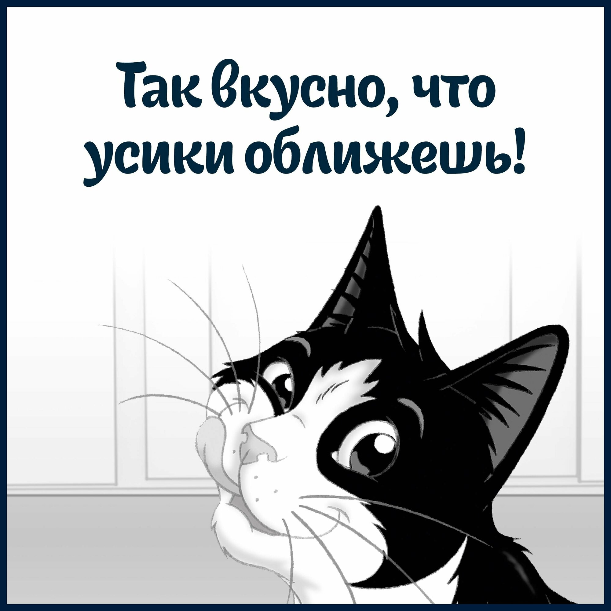 FELIX Sensations Корм влаж.индейка и бекон в соусе д/кошек пауч 75г - фото №15