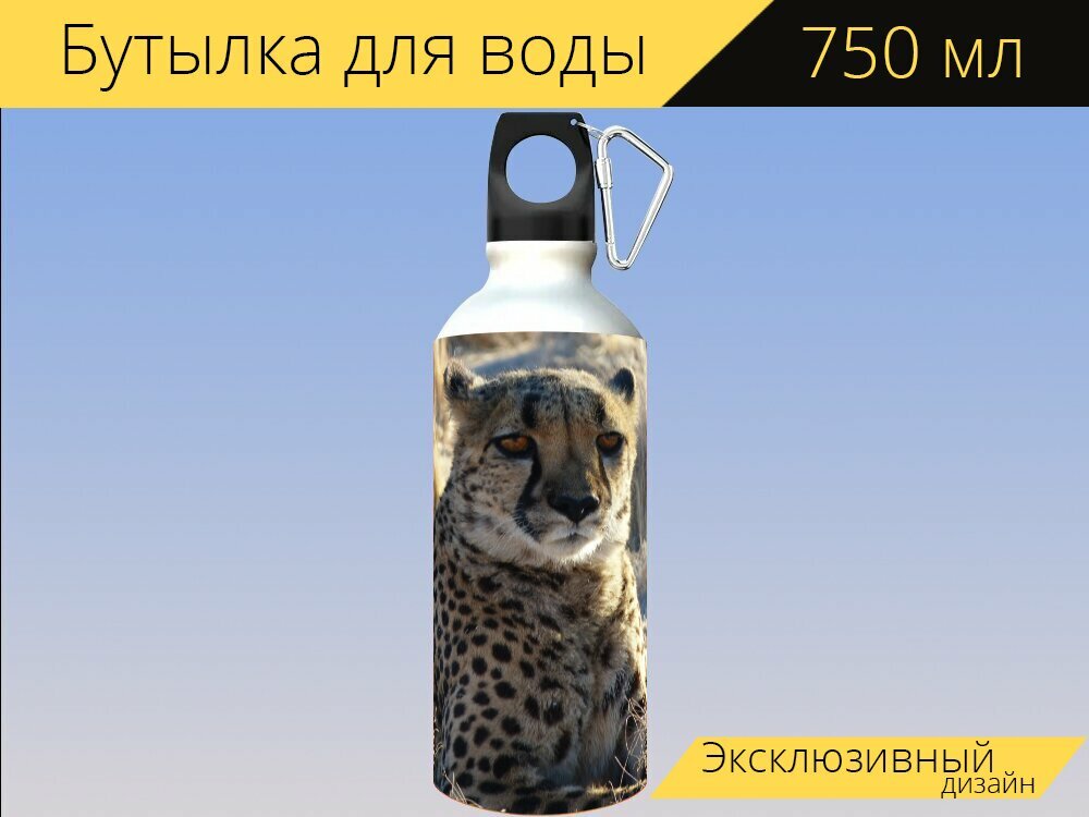 Бутылка фляга для воды "Гепард, намибия, сафари" 750 мл. с карабином и принтом