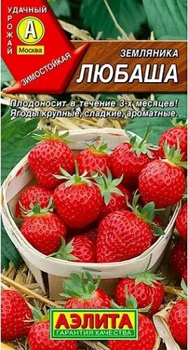 Земляника Любаша ремонтантная крупноплодная 10шт Аэлита