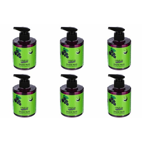 Самый СОК Жидкое мыло Очищение и увлажнение с натуральным соком Черной Смородины 300 мл 6 шт 1351₽