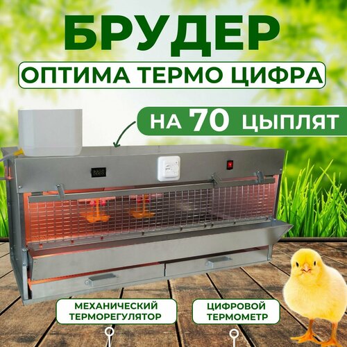 Брудер для 70 цыплят Оптима Цифра с терморегулятором брудер для цыплят 32 оптима с поддоном из нержавейки
