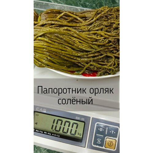 картинка0