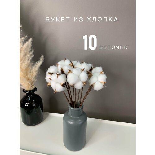 Сухоцветы хлопок букет