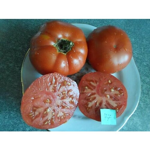 Коллекционные семена томата Минусинский традиционный