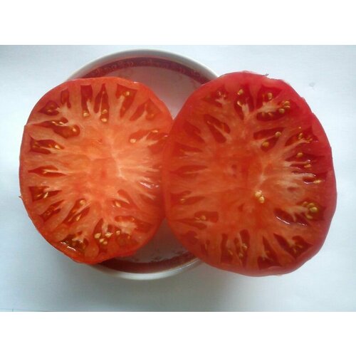 Коллекционные семена томата Авентюняй