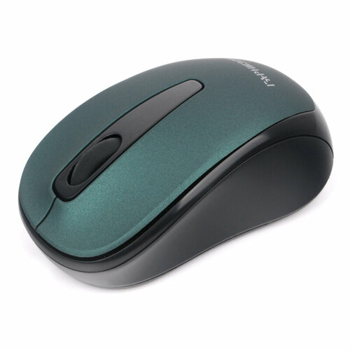 Мышь компьютерная Гарнизон GMW-450-2 WLS чернзел 1000dpi 18838 1924400₽