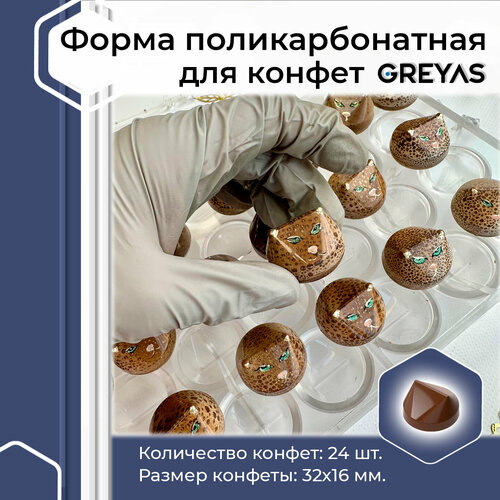 Поликарбонатная форма CM 3890