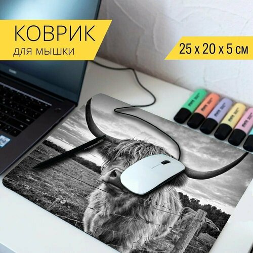 Коврик для мыши с принтом Высокогорная корова, корова, животное 25x20см.