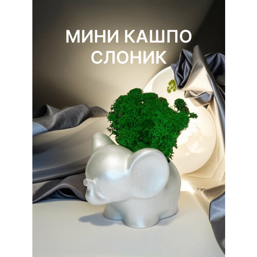 Мини кашпо Слоник со стабилизированным мхом, перламутровый