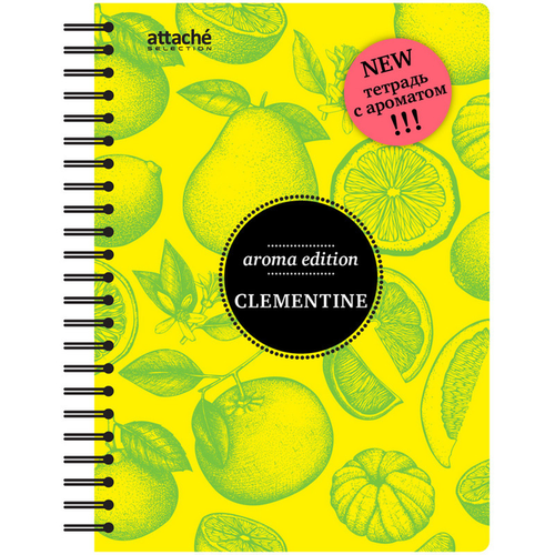 Бизнес-тетрадь Attache Selection Бизнес-тетрадь ароматизированная,100л, А5, клементин, клетка 84906