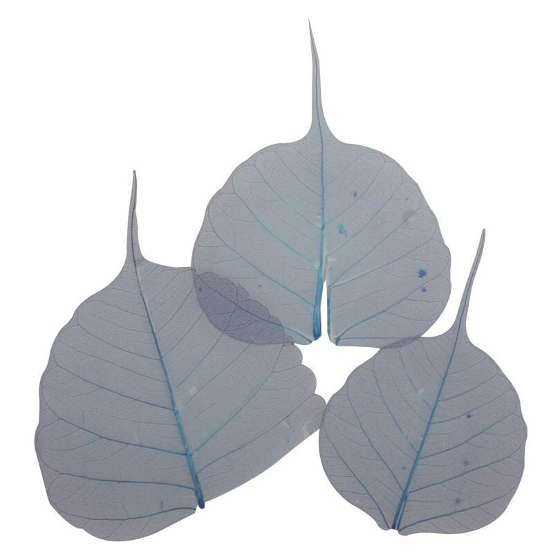 Природный материал - Листья сухие для декора цвет темно-синий 1 упаковка