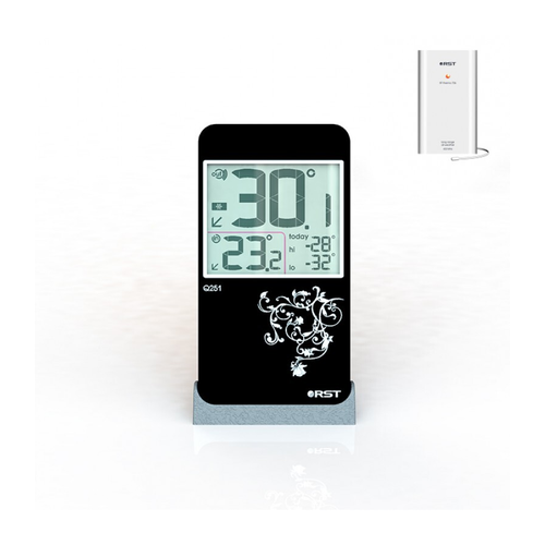 Электронный термометр с радиодатчиком Q251 268800₽