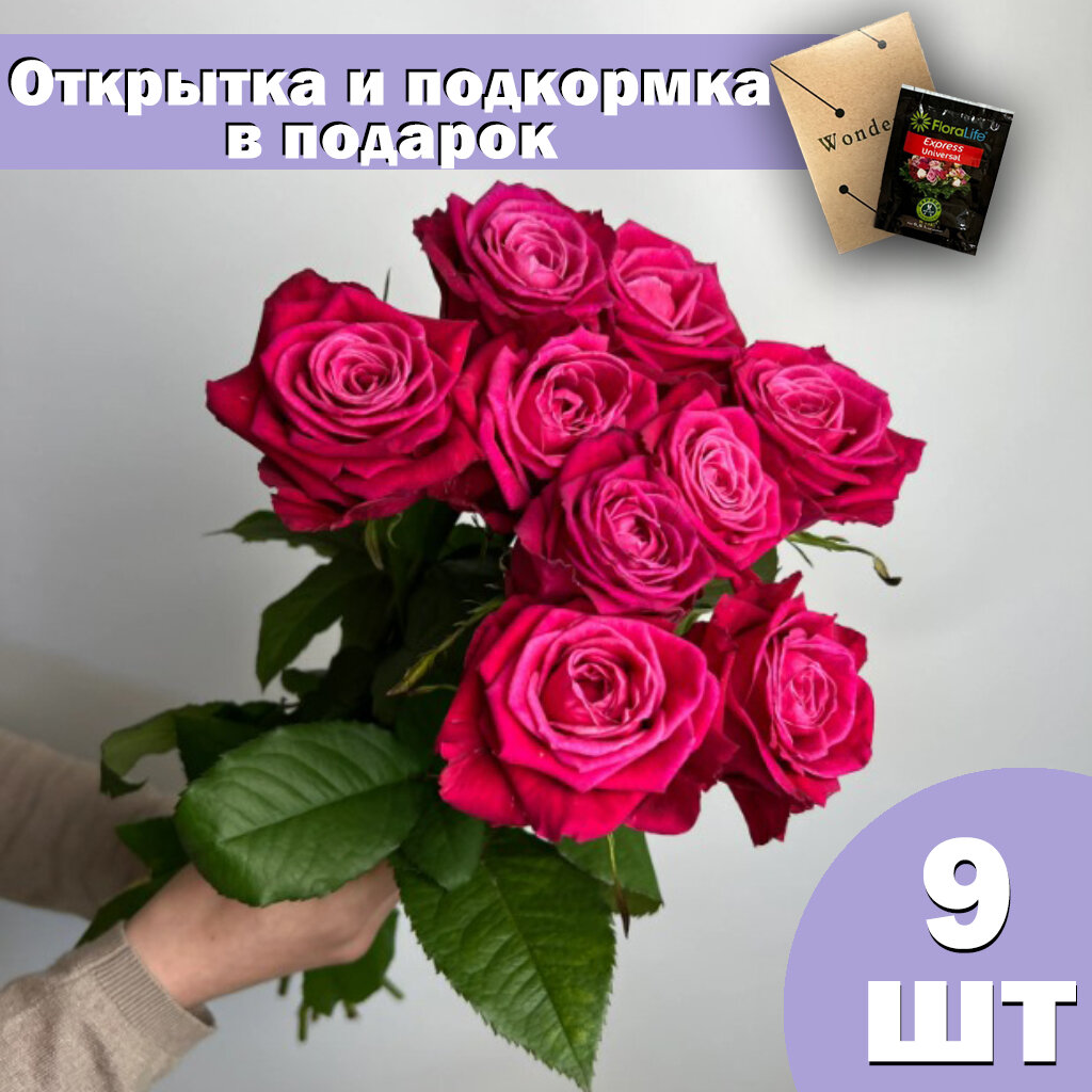 Букет из 19 ярко-розовых роз 