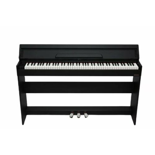 Цифровое пианино Pierre Cesar DP-17-H-BK, черный + 3х-педальный блок на стойке