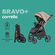 Коляска прогулочная CARRELLO Bravo Plus CRL-5515, всесезонная, бе...