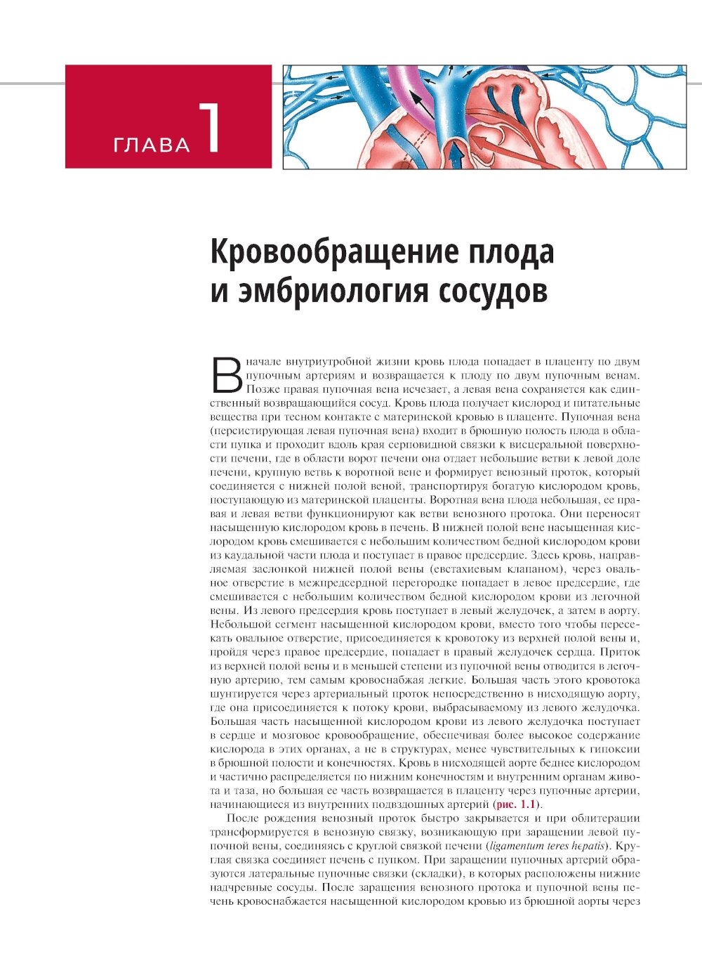 Атлас сосудистой анатомии Уфлакера Ангиографический подход - фото №6