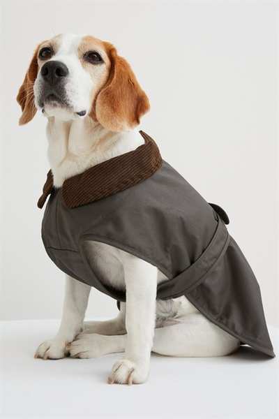 Одежда для собак H&M Унисекс, размер Зеленый, цвет XS-25 - фотография № 6