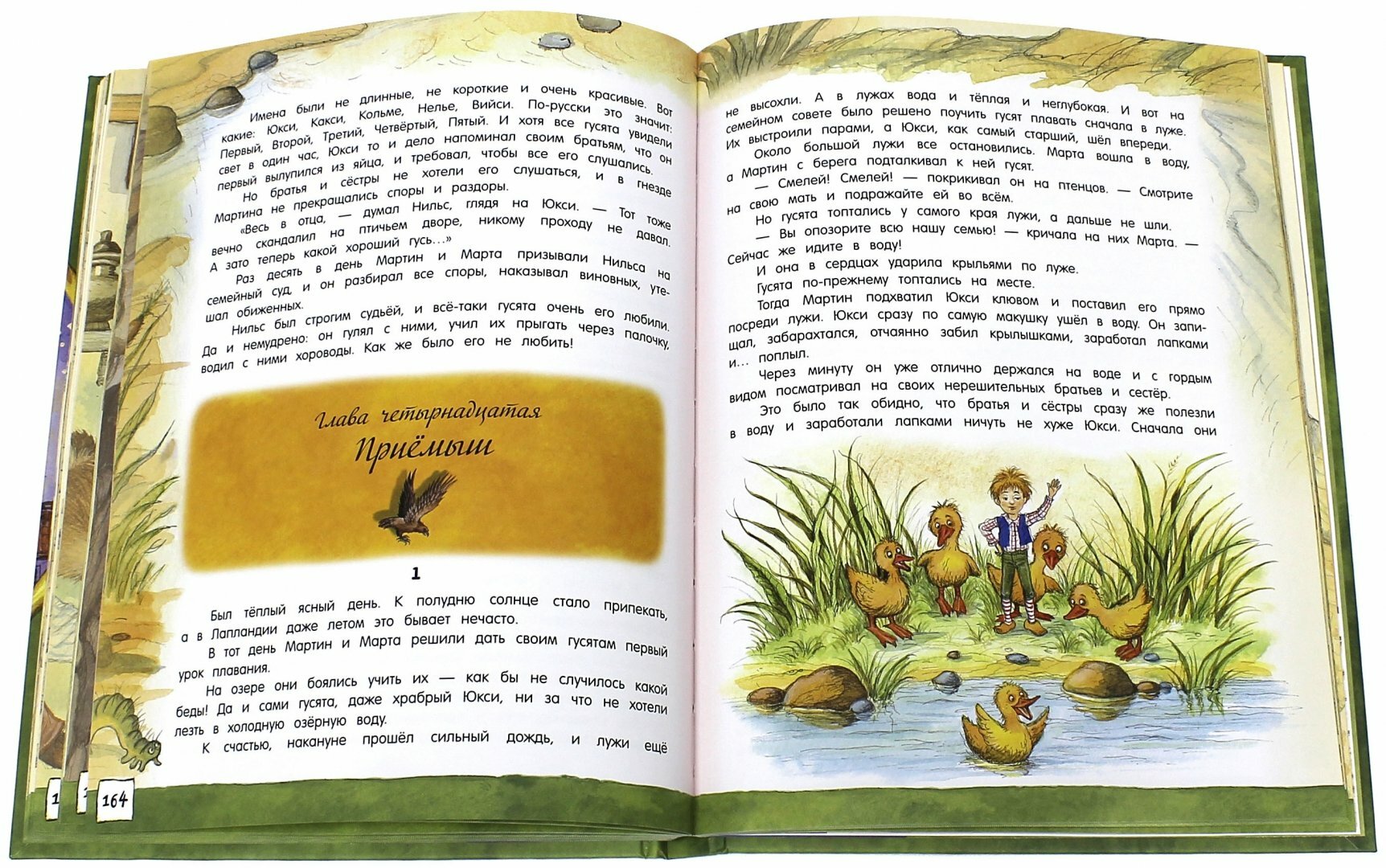 Открой книгу! Чудесное путешествие Нильса с дикими гусями - фото №4