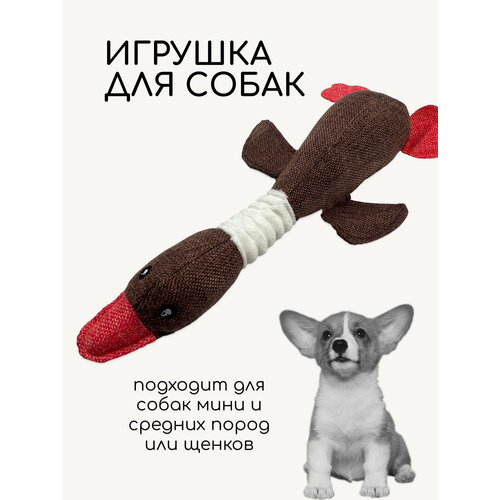Мягкая игрушка утка с пищалкой для собак мини и средних пород 35 см