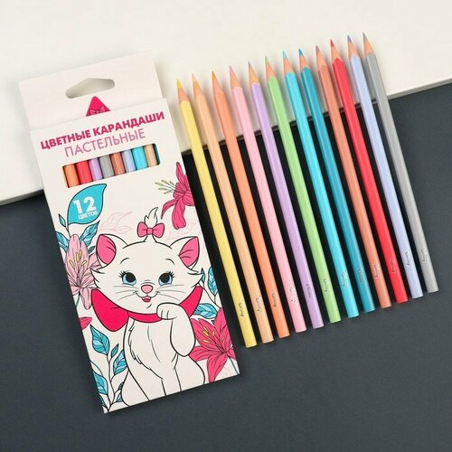 Цветные карандаши пастельные 12 цветов 