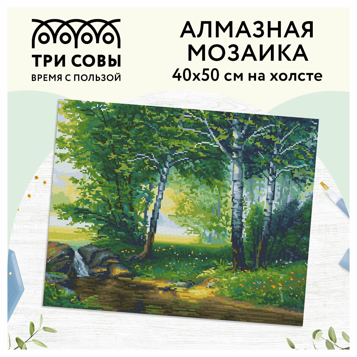Алмазная мозаика Березовая роща Три совы - фото №2