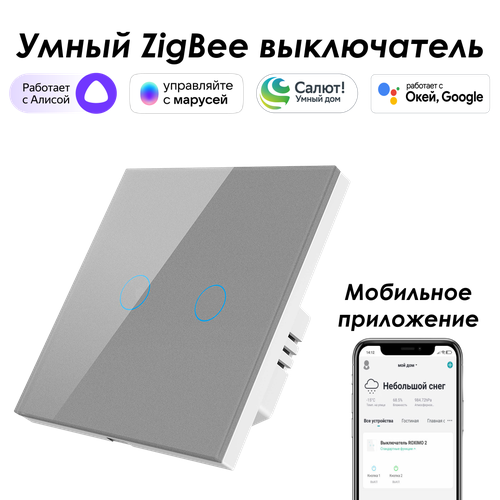 Умный Zigbee выключатель ROXIMO сенсорный, двухкнопочный, серый умный zigbee выключатель roximo сенсорный четырехкнопочный черный