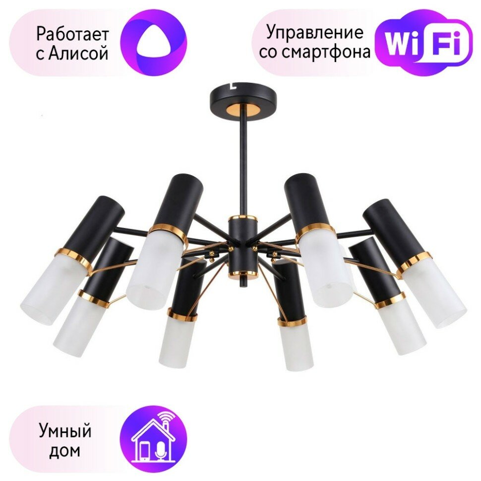Люстра на штанге F-Promo Viator с поддержкой Алиса 2558-8P-A - фото №1