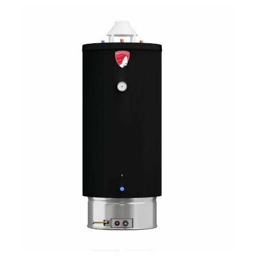 Газовый накопительный водонагреватель Federica Bugatti INOX WH 120 арт WH120 7624200₽