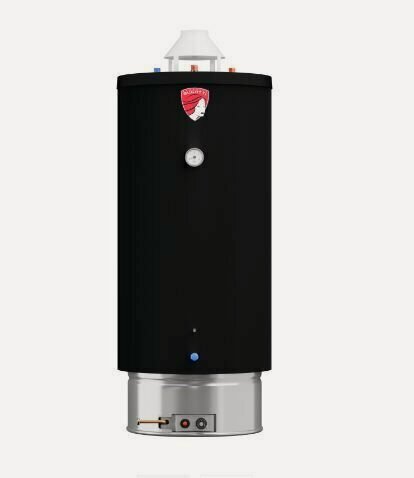 Изображение товара Газовый накопительный водонагреватель (122 л.) Federica Bugatti INOX WH 120 / нержавеющая сталь / напольный
