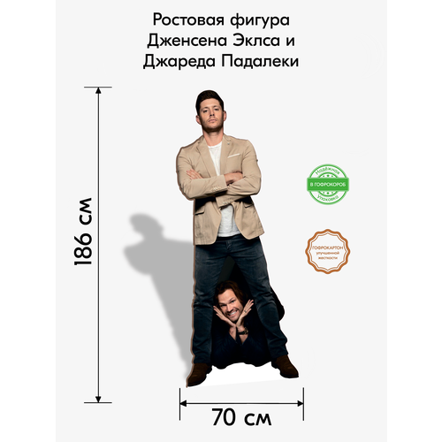 Дженсен Эклс и Джаред Падалеки 2300₽