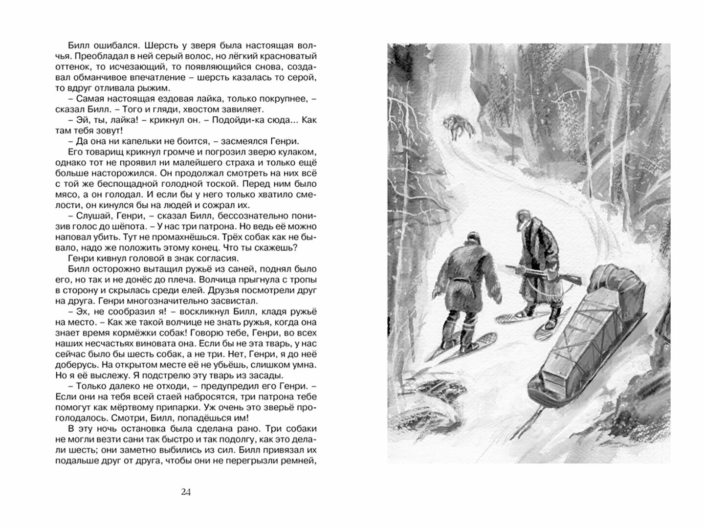 Белый Клык. Повесть (Лондон Джек , Плевин Владимир (иллюстратор), Волжина Наталия Альбертовна (переводчик)) - фото №7
