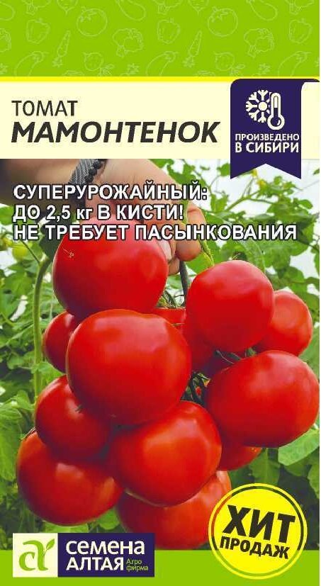 Томат Мамонтенок (5 семян)