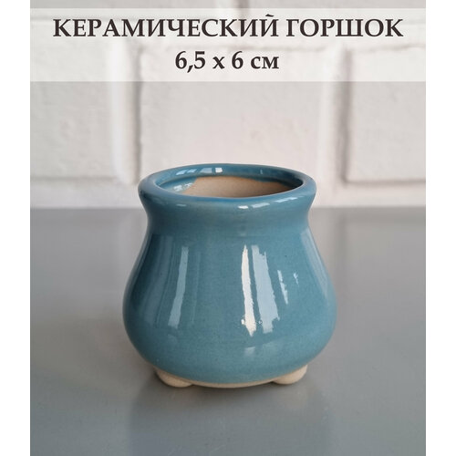 Керамический горшок для суккулентов и кактусов / Керамический горшок для цветов. Голубой